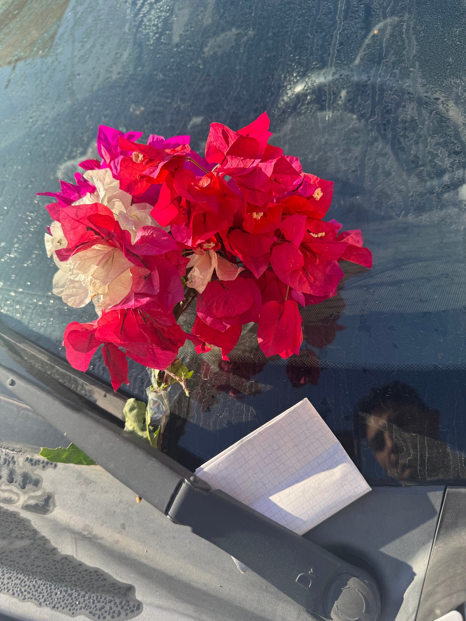 ورده 🌺 + ✉️